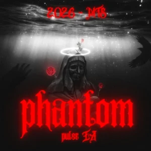Phantom Pulse EA Source Code